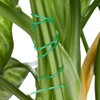 Relaxdays Plant Growing Supports, Stable Plant Clips, Twist Ties, Binding