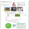 有機ルイボス3袋セット　河村農園　ルイボス100％　ノンカフェイン　無漂白ティーパック　3.0g＊30包　3袋セット　殺菌済み　水出しOK