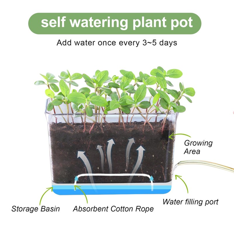 Oliz Self Watering Planters - 4 Pack Rectangular Clear Plant