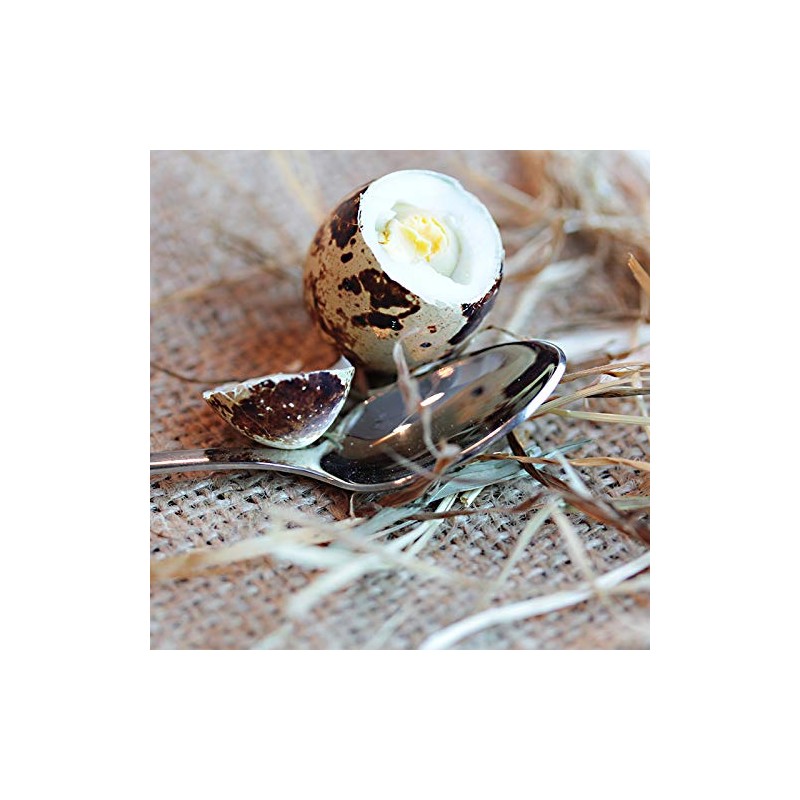 Quail Egg Spoon with Engraving - Quail Eggs - Small