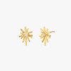 Gold&Deer 14K Goldfield Sparkle Star Earrings Yellow Gold / 골드앤디어