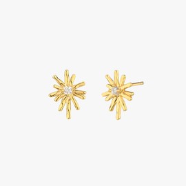Gold&Deer 14K Goldfield Sparkle Star Earrings Yellow Gold / 골드앤디어 14K 골드필드 스파클 스타 귀걸이 옐로우골드