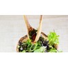 Olive Wood Salad Servers, Set of 2, Wood, Grain/Natural, 30