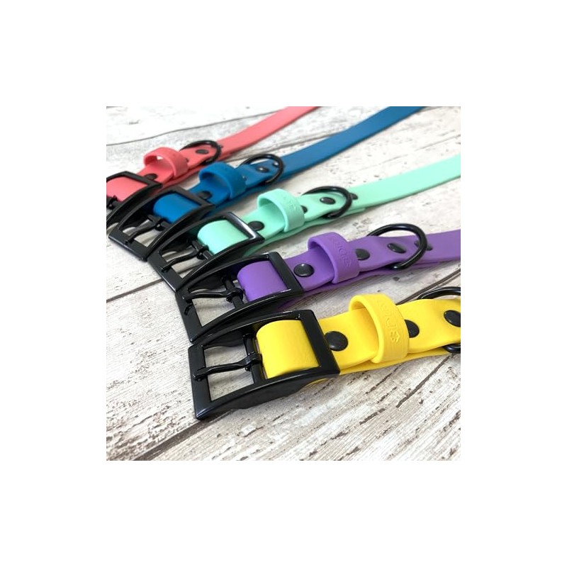 Waterproof Biothane Dog Collar Blue XL