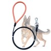 Mi Metty Chew Proof Heavy Duty Leash for Dogs Up