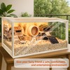 Prolee Hamster Cage Chewproof Wooden 24 Inch Guinea Pig Cages