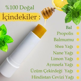 Petekoğlu Dudak Kremi Propolis Bal Nane Limon Aynısefa Shea Hindistan Cevizi Üzüm Çekirdeği Yağları Balmumu Lipstick Balm