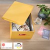 Leitz Click & Store Medium Storage Box, Foldable A4 File