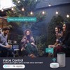 TREATLIFE 2 in 1 Outdoor Smart Dimmer Plug, 2 Individual
