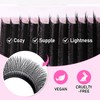 Arison Lashes Double Layers 5DW Shape Eyelash Extension Natural Soft
