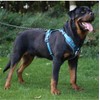 EBLIN Dog Harness with Handle, Reflective Dog Harness, Padded Chest