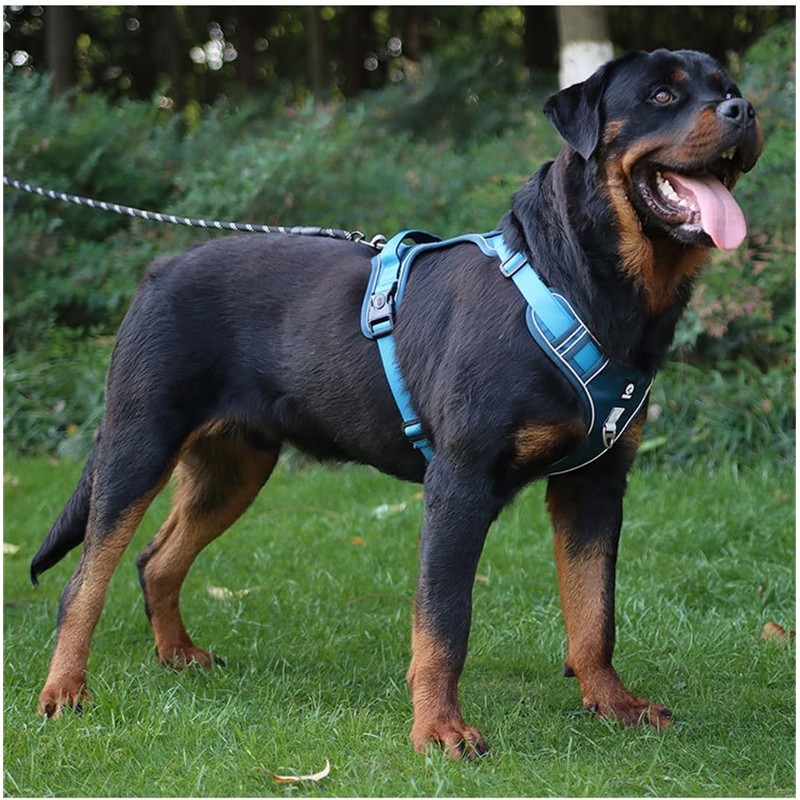 EBLIN Dog Harness with Handle, Reflective Dog Harness, Padded Chest