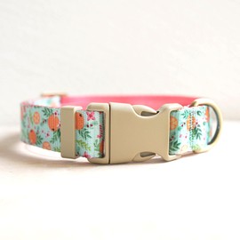 Petiry Vibrant Orange Fruit Print Nylon Dog Collar For Medium Dogs Neck 42-48cm,Orange,M