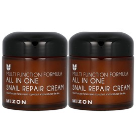 MIZON All In One Snail Repair Cream, Face Moisturizer with Snail Mucin Extract, Recovery Cream, Wrinkle & Blemish Care (2.53 Fl Oz Pack of 2)