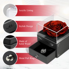 VISIBILIO Preserved Rose with Necklace, Forever Real Rose, Passion Red Gifts for Women, Long Lasting Rose Box, for Wife, Romantic Gifts for Her, Mother's Day Necklace, Rose