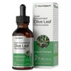 Horbäach Olive Leaf Extract Liquid | 2 fl oz |