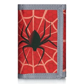 Leehoom Kids Wallet for Boys Girls, Trifold RFID Wallet with Key Chain and Zipper Pocket for Kids 4-18 Novelty Birthday Gifts, Coin Pouch Purse for Children Teens Outdoor Sports-Web