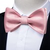 DiBanGu Pink Bow Ties for Men Satin Self-tied Bowtie Set