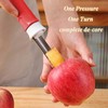 2-in-1 Stainless Steel Apple Corer and Peeler, Red, Plastic Handle,