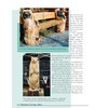 Chainsaw Carving a Bear: A Complete Step-By-Step Guide