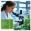 BonVigo® MenthaVigo Lungwort & Eucalyptus, 120 Capsules, 11 Plant Extracts,