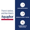 Aquaphor Lip Repair Lip Ointment for Extremely Dry, Chapped and