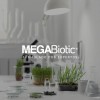 Probiticos 15 Cepas 30 Billones Para Mujer Megabiotic Probiticos Woman