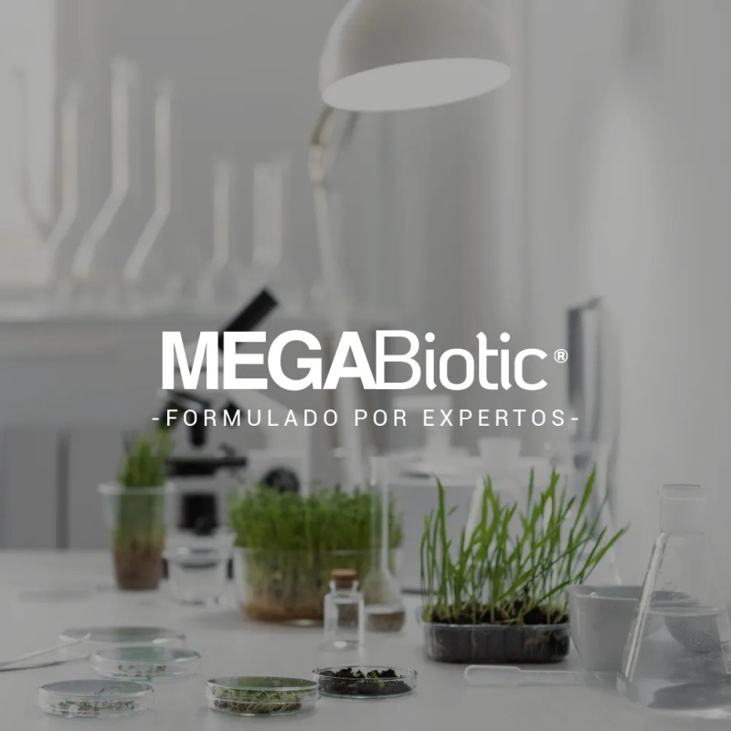 Probiticos 15 Cepas 30 Billones Para Mujer Megabiotic Probiticos Woman