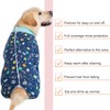Recovery Suit for Large Medium Dogs After Surgery, Soft Breathable