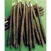 SeedsUP - 100+ Seeds Giant Black Root Salsify - Vegetable