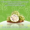 OALSE Soursop Graviola Gummies, Sour SOP Leaves & Fruit Extract