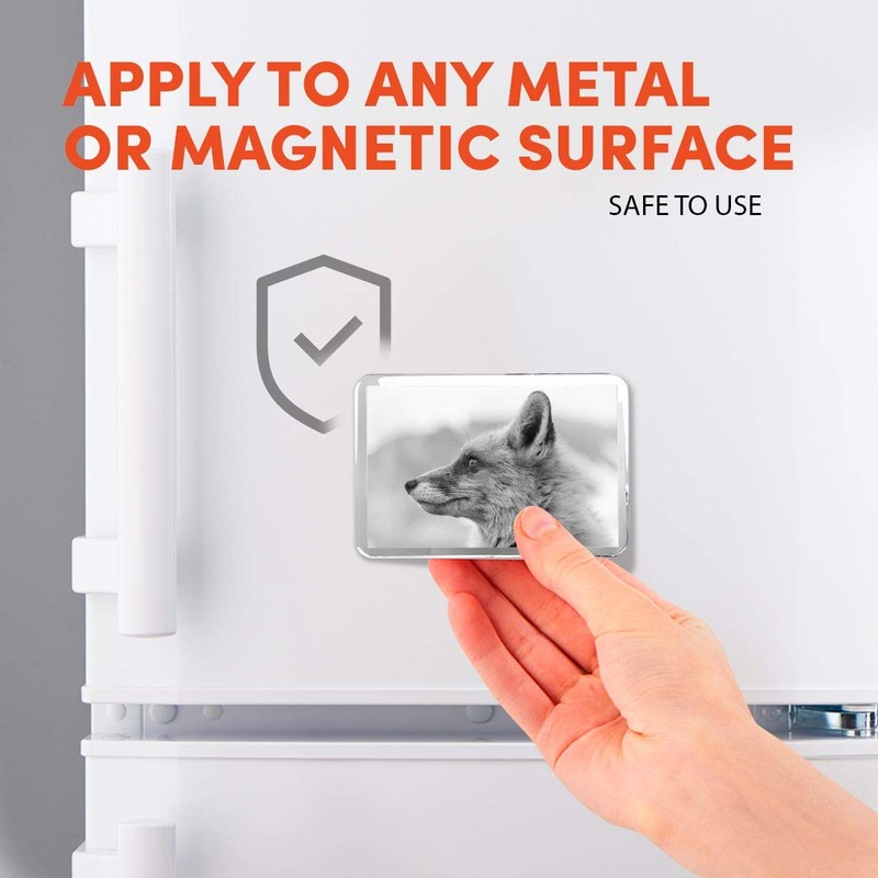 1 x Fridge Magnet - Wildfox Nature Wildlife #38710