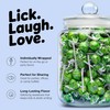 Sour Apple Lollipops – 65 Count Bulk Candy Pack, Individually