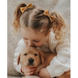 2" Velvet Baby Girl Hair Ties With Bows, 24 Pcs Ouchless Soft Elastic Hair Bands For Toddlers, Ponytail Holders Hair Accessories For Infants, Kids, Children, School Girls