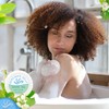 BERGMAN KELLY Round Hotel Soap Bars, Shampoo & Conditioner 3-Piece