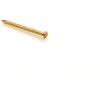 Design61 Round Head Nails 1.2 x 20 mm Brass Plated