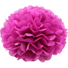 Lightingsky 10pcs DIY Decorative Tissue Paper Pom-poms Flowers Ball Perfect for Party Wedding Home Outdoor Decoration (4-inch Diameter, Purple 1)