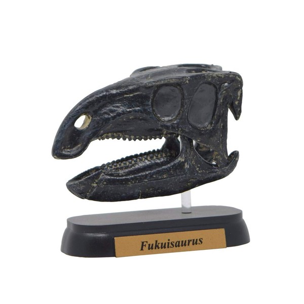 73511 Dinosaur hukuisaurusu Skull Mini Model (FDW – 511)