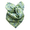Prettystern 100% Silk Women's Men's Paisley Silk Scarf Summer Silk