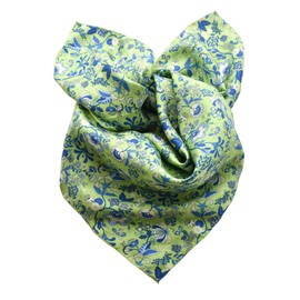 Prettystern 100% Silk Women's Men's Paisley Silk Scarf Summer Silk Neckerchief, 08 Floral Light Green
