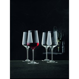 Nachtmann ViNOVA Red Wine Glass, Set of 4, Clear -