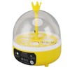 Mini Egg Incubator for Home Automatic Temperature Humidity Control 4