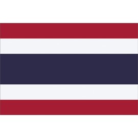 GLOBAL ADVERTISING SOLUTIONS 3x5 Country National Flag Made in USA Bright Colors Long Lasting and Weather Resistance Country State Flag only Without Pole kit and Mount (Thailand)