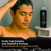 DHS TAR SHAMPOO 8 OZ by DHS