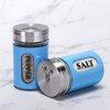 Salt and Pepper Shakers Stainless Steel and Glass Set with
