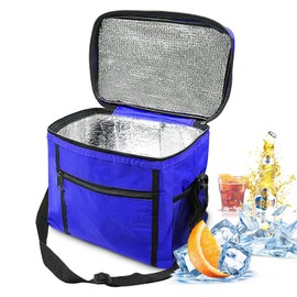 Foldable Cool Bag, 10 L Cool Bag, Picnic Bag, Mini Insulated Thermal Lunch Bag, Cool Bag, Ice Bag, Cool Box for Picnic for Office, Work, Travel, 27 x 17 x 24 cm, Blue