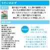 Gakken Staefl N04808 Toddler Educational Materials for 5 Years Old