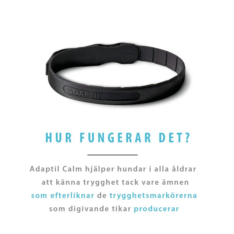 ADAPTIL Calm Necklace (S/M for Smaller Dogs < 15 kg)