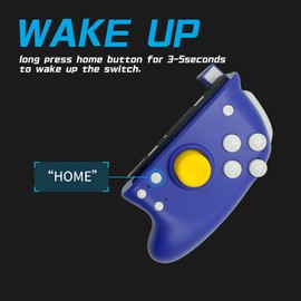 COIORVIS Switch Controller JoyPad Controller for Switchl/Switch OLED, Wireless Switch Controller with motion control,turbo function and map program