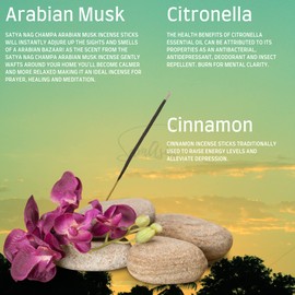 Satya Nag Champa Arabian Musk, Citronella and Cinnamon Incense Sticks | x3 pack | with SAMASIA incense sticks holder | Burn for Energising